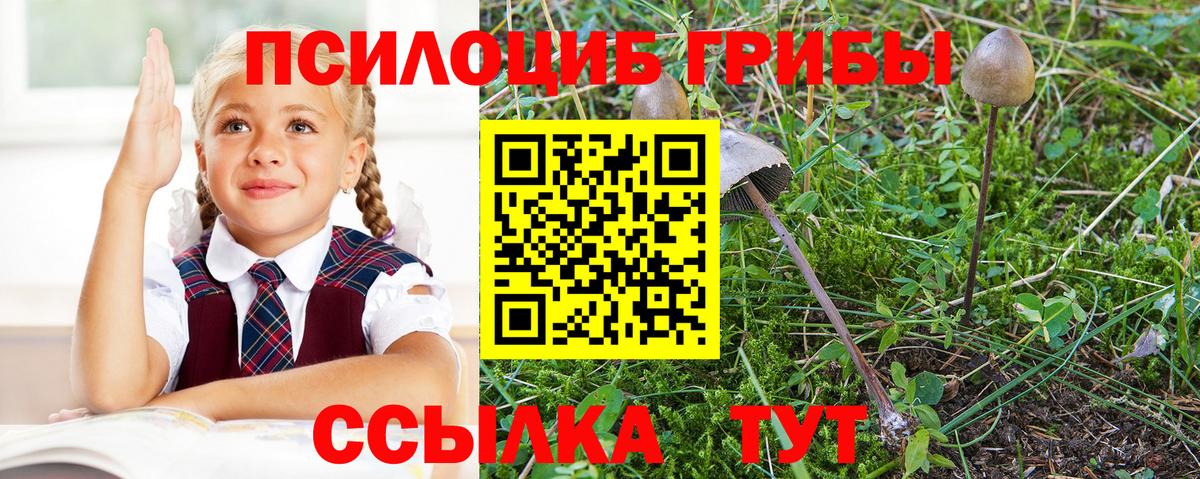 Псилоцибиновые грибы мицелий  Галлюциногенные грибы мухоморы  Вход с VPN  Шали 